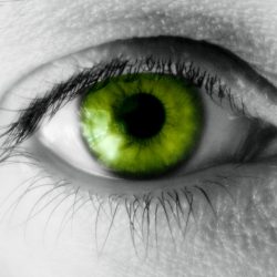 The Green-eyed Monster Jealousy - Vivian Baruch online & Springwood