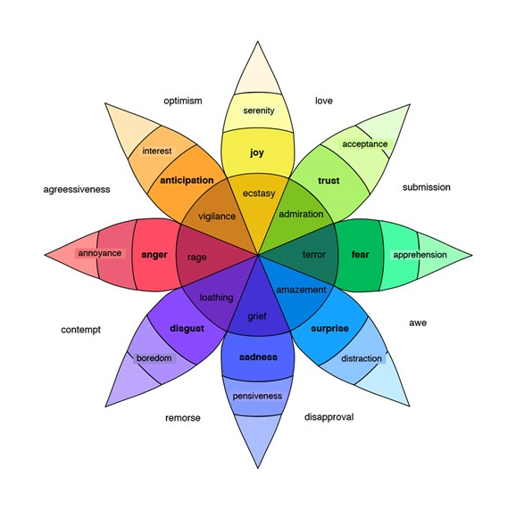 Plutchik's wheel of emotions - Vivian Baruch online & Springwood
