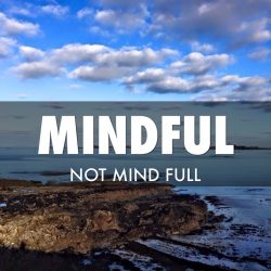 Mindful not Mind Full - Vivian Baruch online & Springwood