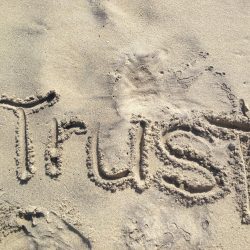 How to Build Trust in Your Relationship - Vivian Baruch online & Springwood