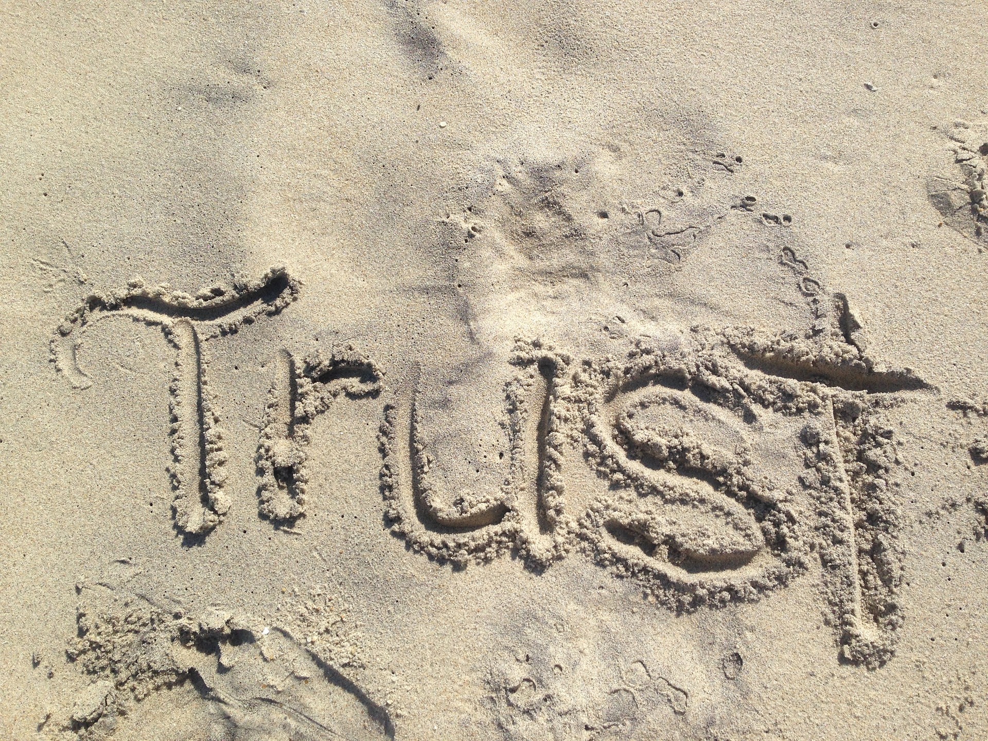 How to Build Trust in Relationships - Vivian Baruch online & Springwood