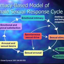 Intimacy Based Model of Female Sexual Response - Basson - Vivian Baruch