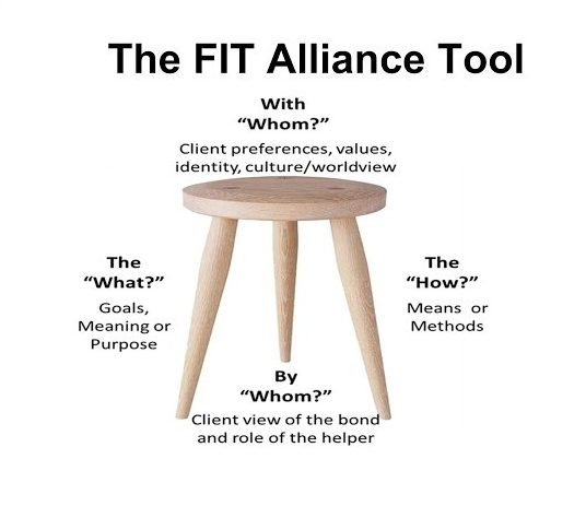 The FIT Alliance Stool - ICCE Vivian Baruch